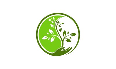Tree yin yang logo vector - obrazy, fototapety, plakaty