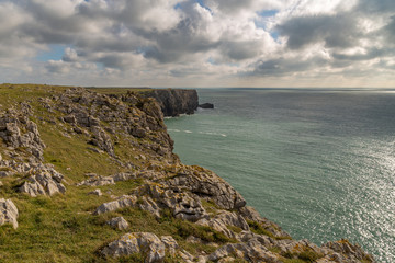Fototapeta na wymiar Coast and cliffs at Bullslaughter Bay near Castlemartin in Pembrokeshire, Wales, UK
