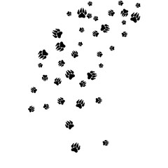 Monochrome Bear Footprints in Black and White. Prints of Paws with Big Claws for Petshop Design or for Goods for Pets. Simple Pattern for Print, Logo or Poster. Vector Confetti Background.
