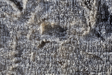 Beautiful frost crystals on wood close-up texture background