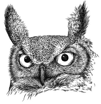 recommend clip art: black and white engrave isolated owl illustration