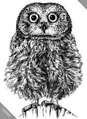 black and white engrave isolated owl vector illustration