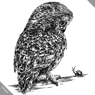 black and white engrave isolated owl vector illustration