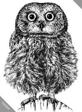 black and white engrave isolated owl vector illustration