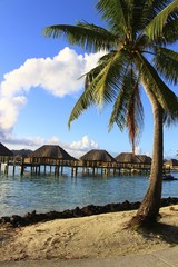 Fototapeta na wymiar Bora Bora