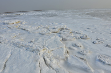 On winter sea ice