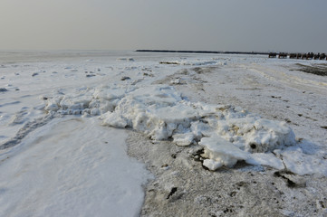 On winter sea ice