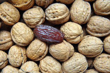 Unique, different, singular, single, distinctive.