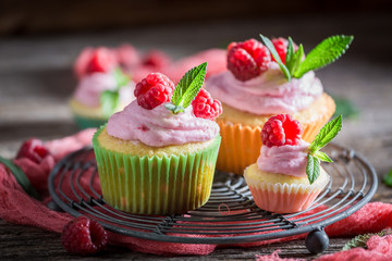 Closeup of sweet raspberry cupcake made of cream and fruits
