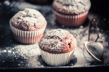 Closeup of sweet chocolate muffin with powdered sugar