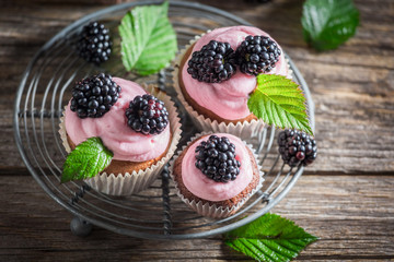 Blackberry cupcake with berries and pink cream