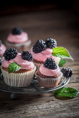 Delicious blackberry cupcake made of pink cream and fresh fruits