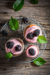 Closeup of blackberry cupcake made of cream and fresh fruits