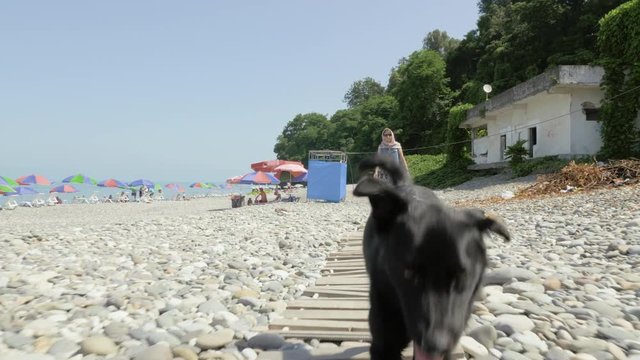 Girl walking with the funny small dog on the beach. Batumi, Georgia