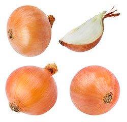 Fresh onion isolated on white background  with clipping path set