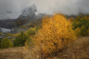 Autumn in mountains