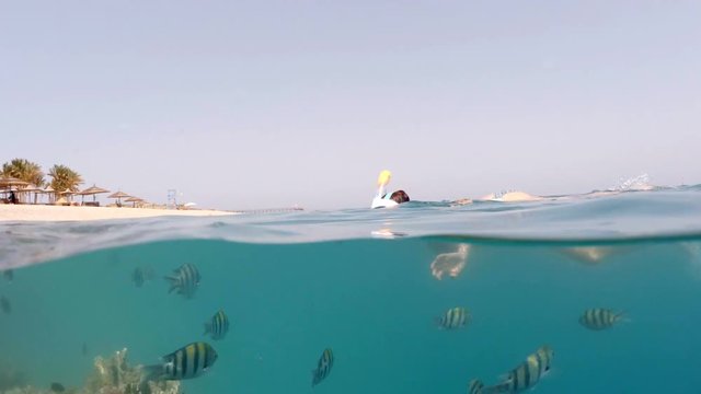 Underwater surface split view of coral fish and resort beach wit