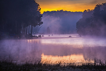 In the morning, Pang Ung Forestry Plantations. Maehongson,Thailand