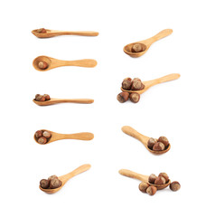Hazelnut in a wooden spoon isolated