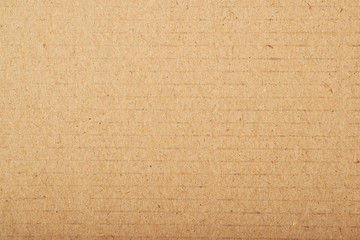 Brown cardboard fragment