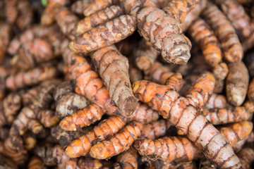 Turmeric