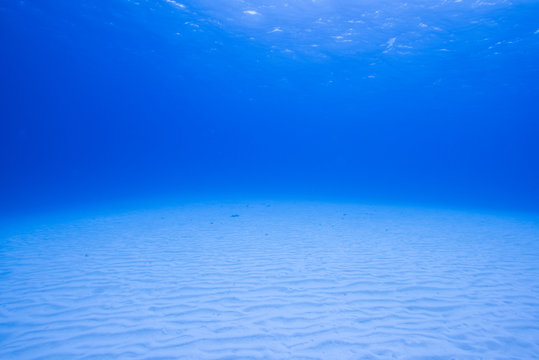 砂地の海底 の画像 102 件の Stock 写真 ベクターおよびビデオ Adobe Stock