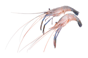 Raw shrimps isolated on white background