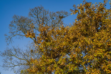 cotswold scenic england uk