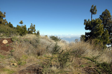 landschaftlich