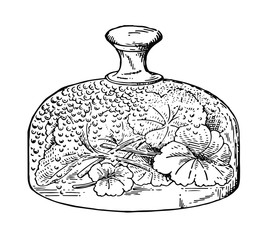 Glasglocke - glass cover