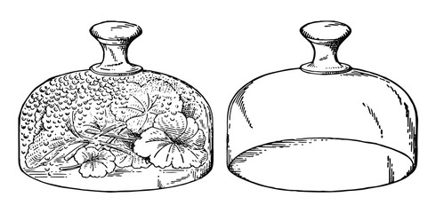 Glasglocken - glass cover