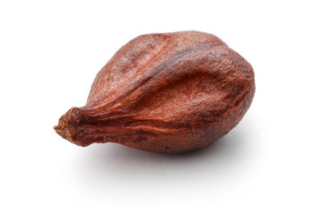 Grape seed