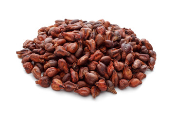 Grape seed