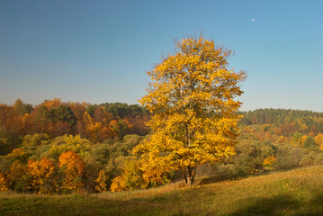 Fall on the hill
