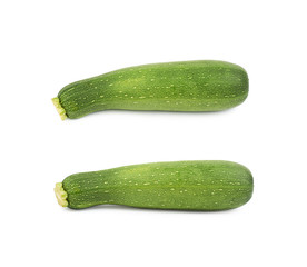 Green zucchini plant isolated
