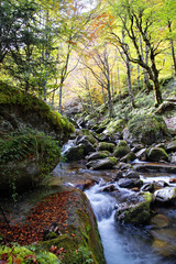 Belles couleurs d'automne dans les pyrénées