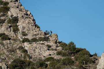 beautiful rocky region around el Chorro in Andalusia