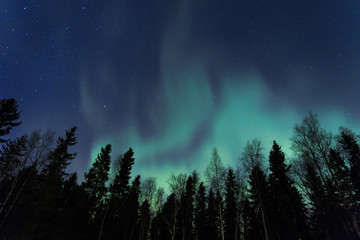 northern lights in Oulu finland - Powered by Adobe