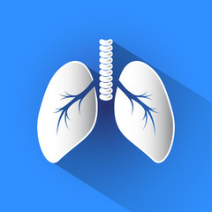 Lungs vector icon.