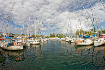 Fototapeta na wymiar Pointe du Bout Marina - Trois-Ilets - Martinique