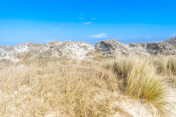 Dünenlandschaft