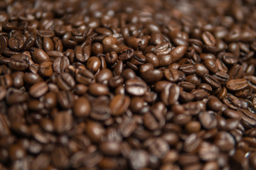 Roasted coffee beans