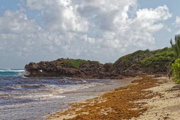 Macre Cape and anse grosse roche - Heart hole in the rock - Le Marin - Martinique - FWI