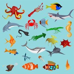 Fototapeta premium Marine life vector illustration, ocean animals vector mega set