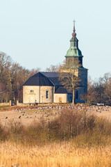 Bjurum church with cranes on the field at Hornborgasjon in Sweden