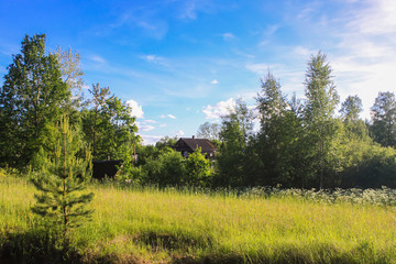 Summer landscape in countryside.