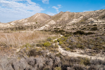 Hügellandschaft beim See - Embalse de la pedrera in andalusien