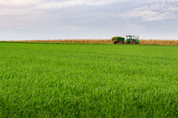 Green grass and farmer with tractor harvesting. Flanders, Belgium © Steven