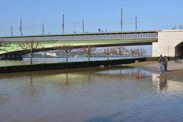 Bonn, Rhein Hochwasser