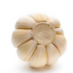 Garlic isolated on the white background.